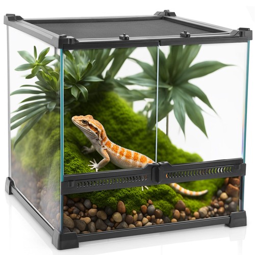 Minireptilienglasterrarium 30 - minireptilienglasterrarium,,