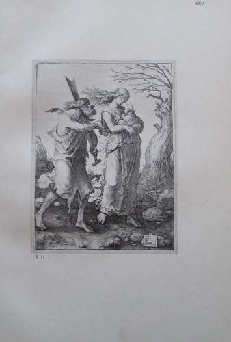Lucas van leyden adam und - adam,