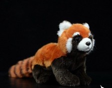 Simulation Roter Panda