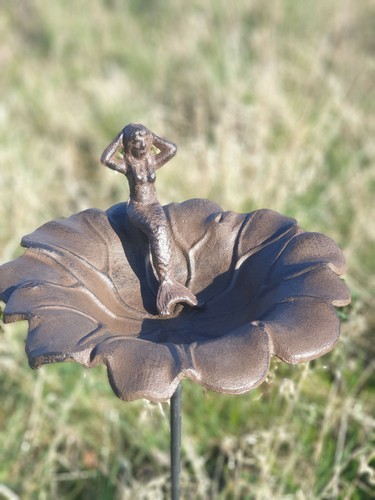 Gusseisen vogeltränke mit - gusseisen,