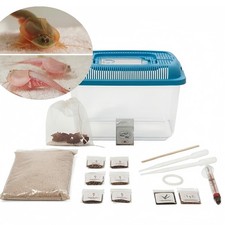 Triops (Urzeitkrebse)