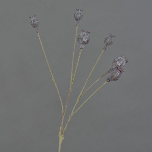Artplants kunst mohnkapseln - artplants,