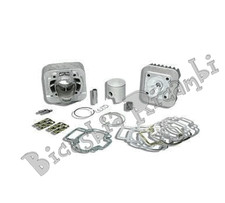 4857 - Zylinder Malossi MHR