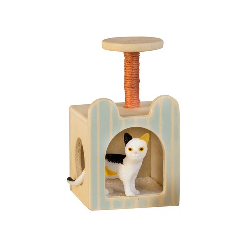 Katzen kätzchen familie - katzen,