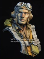Young Miniatures 1:10 US Navy