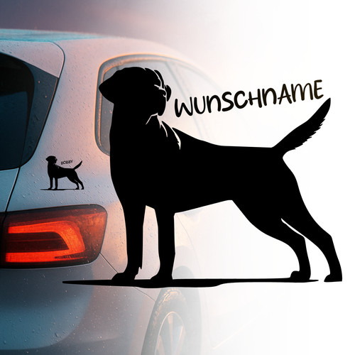 Labrador retriever auto - labrador,
