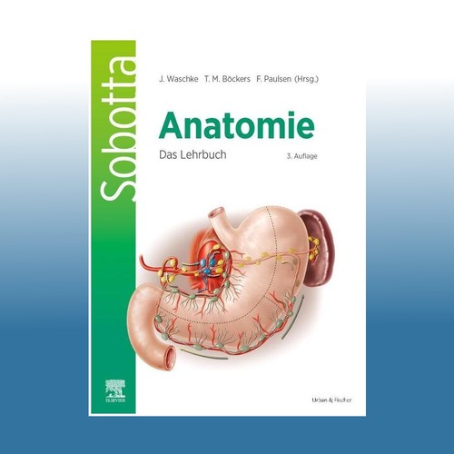 Sobotta anatomie das - -,