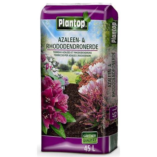 Plantop azaleen und - plantop,
