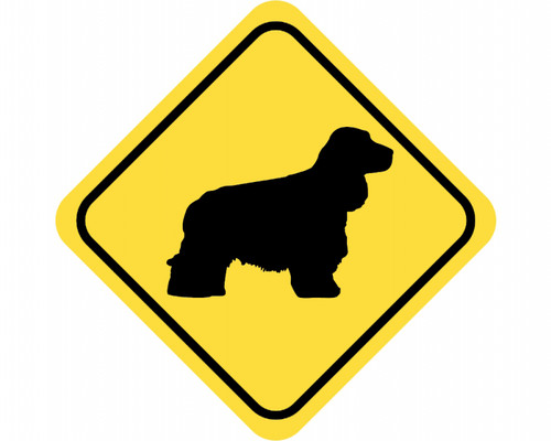 Samunshi cocker spaniel - samunshi,