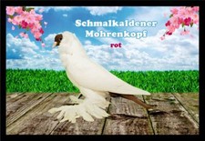 Fußmatte Schmutzfangmatte