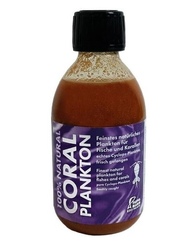 Fauna marin coral plankton - coral,
