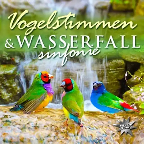 Various vogelstimmen - various,