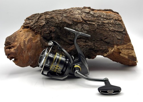Shimano sustain c3000 mgl - sustain,
