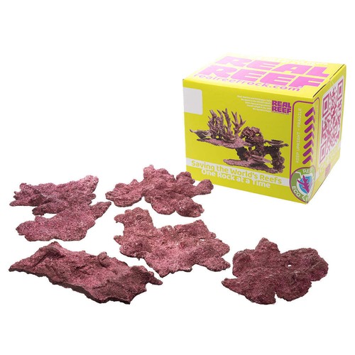 Real reef shelf - reef, rock