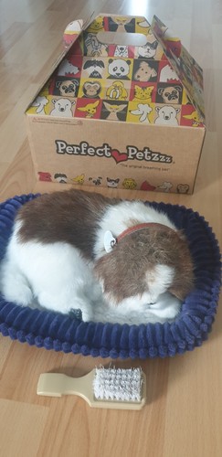Perfect petzzz shih tzu - perfect,
