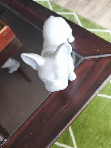 Französische bulldogge bully - französische,