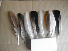 10 bunte Hühnerfedern, 17 cm, Basteln,  Floristik