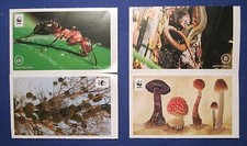 4 WWF Klebe Sticker Unser Wald