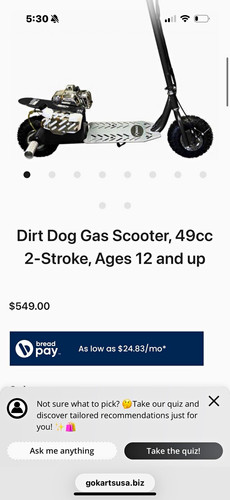 Dirt dog gas scooter 49cc - dirt,
