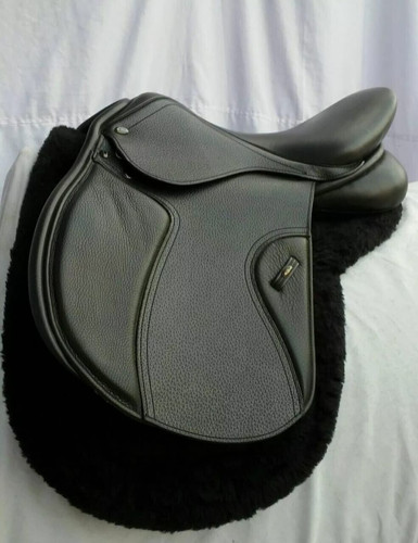 Englisch allzweck jagd - englisch, /