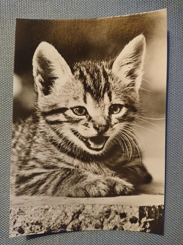 Alte ansichtskarte postkarte - alte,