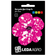 Petunie Dot Star F1, Deep Pink, Unendliches Universum, Sternenhimme 10 Samen