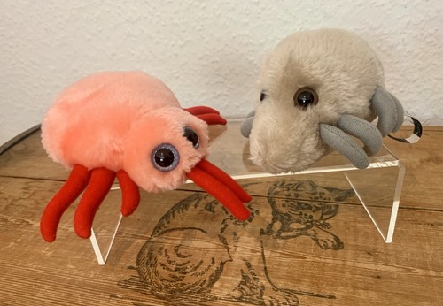 Giant microbes bettwanze - bettwanze, +
