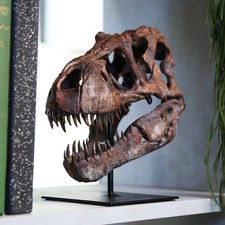 Tyrannosaurus Rex Schädel handbemalt 3D Dinosaurier Modell-Wohndeko Geschenke für Ihn