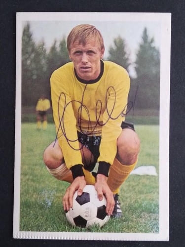 Siegfried held borussia - siegfried,