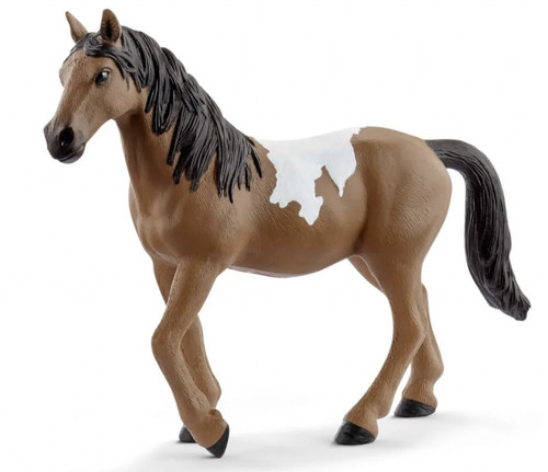 Seltene schleich 72138 pinto - 72138,