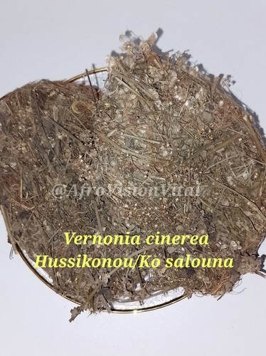 Vernonia cinerea 100g - , –