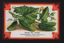 GROSS-STEINHEIM-HANAU, Etikett, Illert & Ewald GmbH Gurken