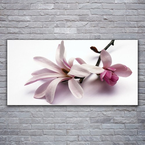 Acrylglasbilder wandbilder - acrylglasbilder,