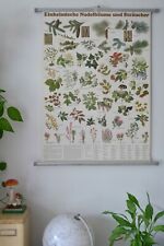 VINTAGE | SCHULWANDKARTE