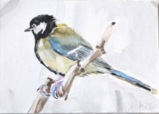 Kohlmeise, orig. Aquarell