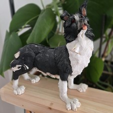 Country Artists Border Collie