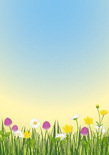 Frühlingswiese Blumen