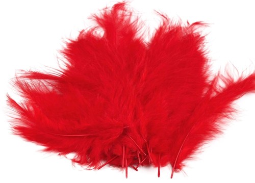 Flaumfedern 09 17cm - 15-20,