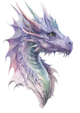 Drachen Autoaufkleber oder