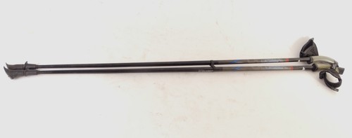 Crane vision nordic walking - crane,