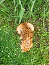 Keramik Gepard Leopard, Italien, 1960, 63 Cm