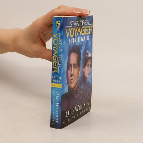 Star trek voyager - voyager:, spirit