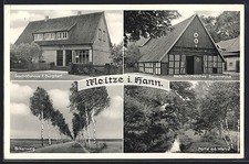 AK Meitze i. Hann., Geschäftshaus F. Burgdorf, Birkenweg, niedersächsisches Bau 