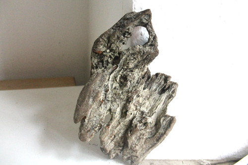 Schwemmholz treibholz skulptur - treibholz,