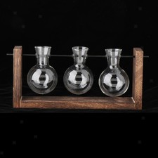 Terrarium-Glaspflanzgefäß