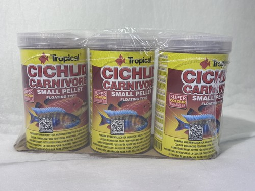 Tropical cichlid carnivore - cichlid,