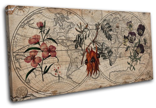 Botanische blumen shabby chic - botanische,