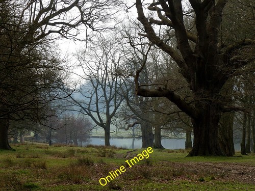 Foto 6x4 petworth park - 6x4,