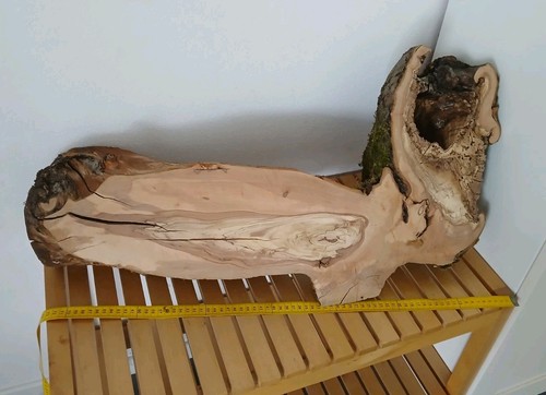 Deko holzscheibe apfel - deko,