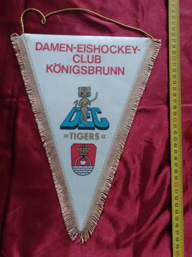 Alter eishockey wimpel - alter,